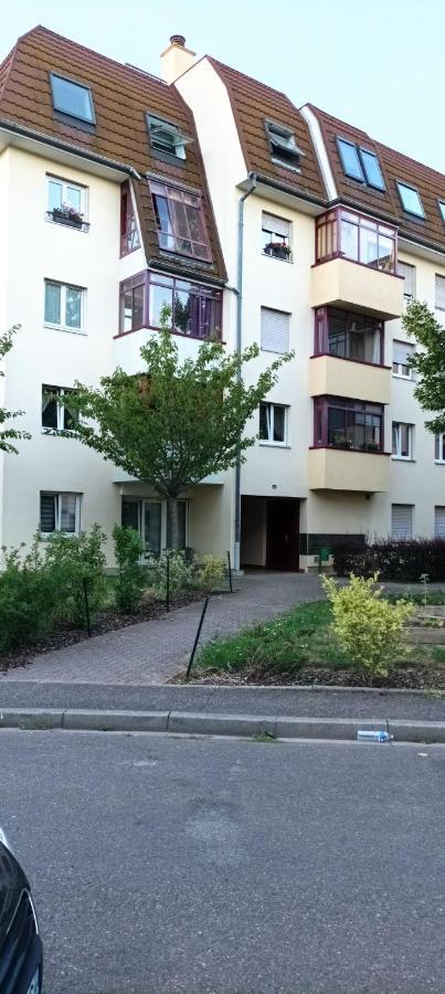 Apartamento Le Duplex inversé Estrasburgo Exterior foto